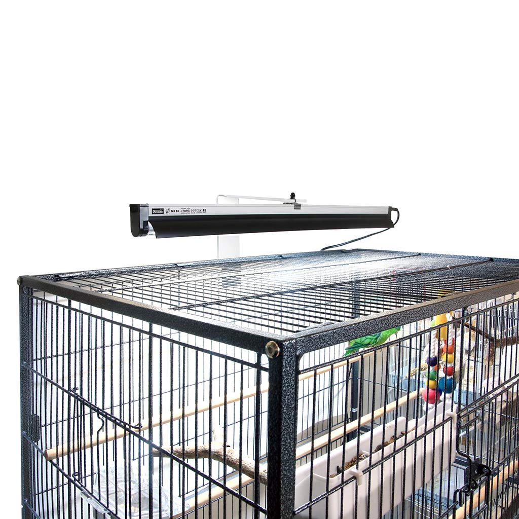 An Arcadia PureSun Midi UVB lamp mounted over a bird's cage