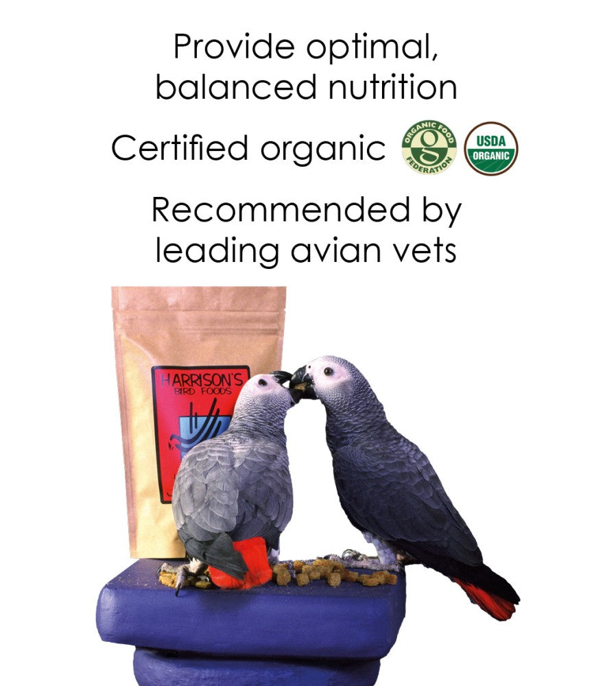 Two African Grey parrots eating Harrison's Bird Foods, sat on a blue plinth in front of a bag of Harrison's High Potency Coarse, with the words 'Provide optimal, balanced nutrition', 'Certified organic', and 'Recommended by leading avian vets' 