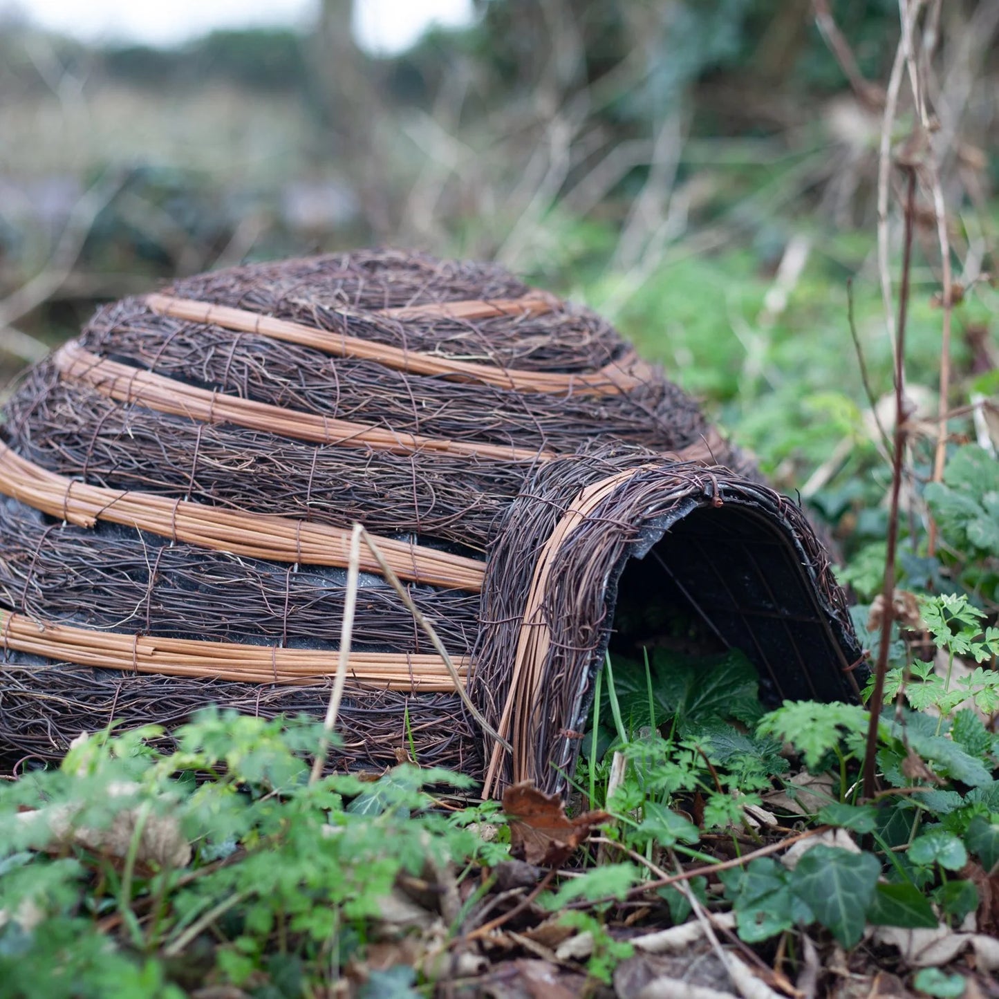 Igloo Hedgehog Home