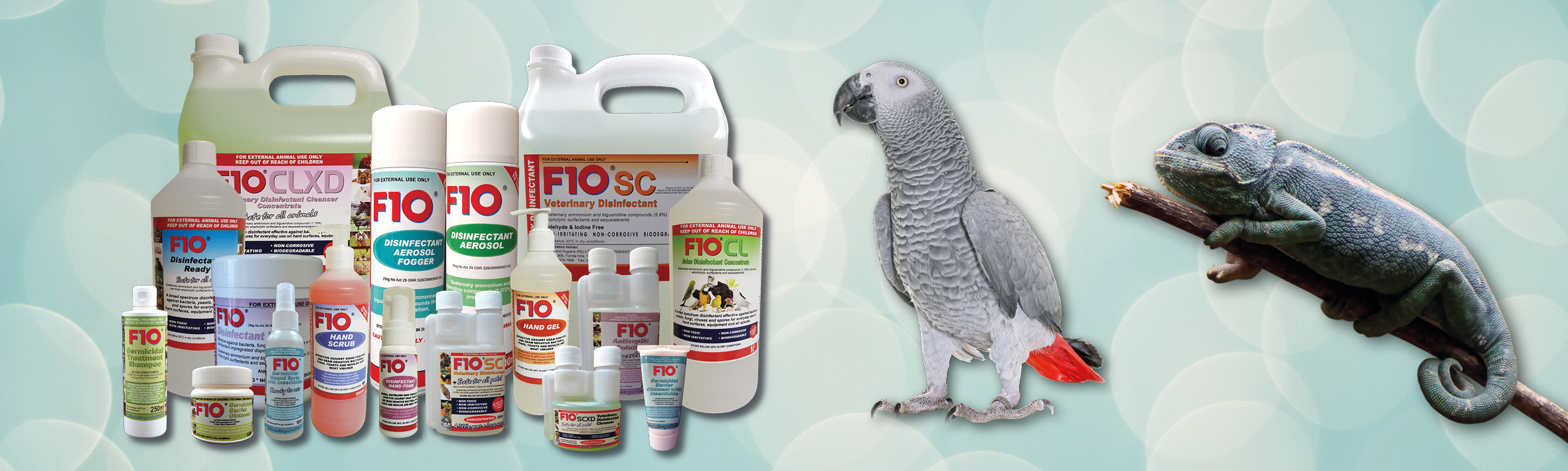 A group of different F10 products next to an African Grey and a chameleon sat on a branch 