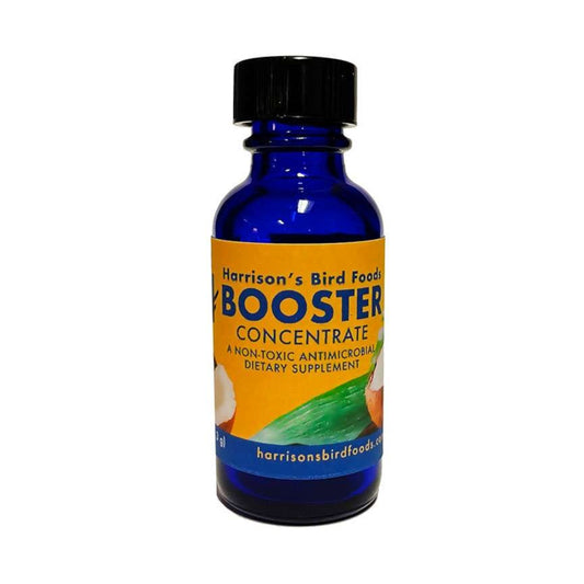 Booster Concentrate