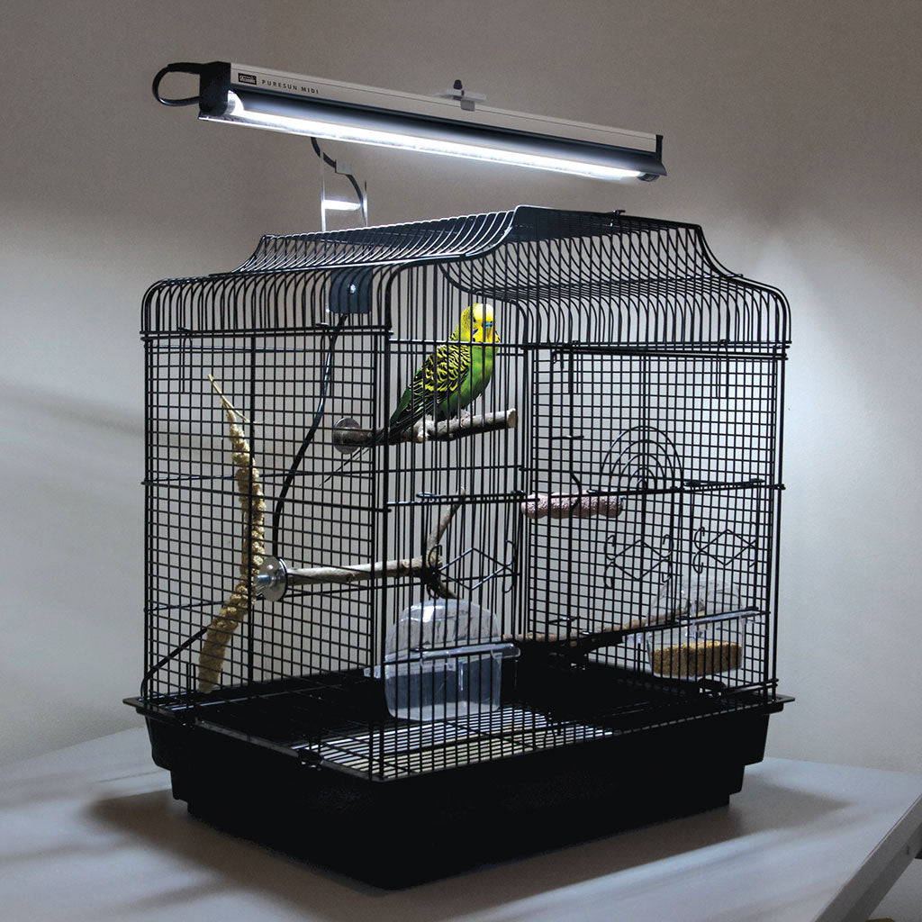 An Arcadia PureSun Midi UVB lamp mounted over a budgerigar's cage