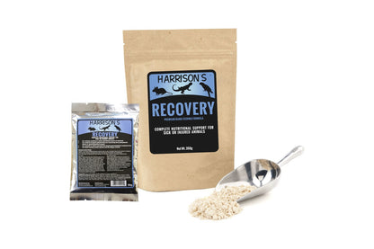 A 56g and 350g bag of Harrison's Recovery Formula, next to a metal scoop full of the formula