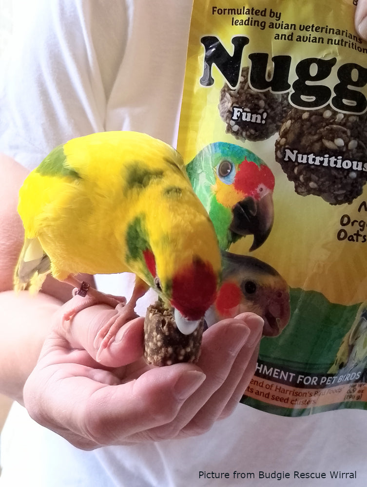 Nuggies