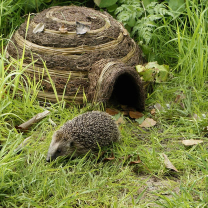 Igloo Hedgehog Home