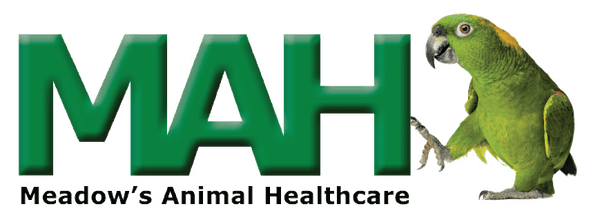 The Meadow's Animal Healthcare logo, with an Amazon parrot stood next to it, with its leg raised in a jaunty way