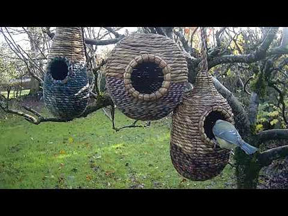 Tahera Artisan Wild Bird Nester